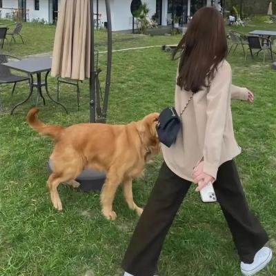 格杀勿论