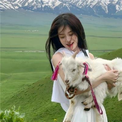 真的要去航海 第二季