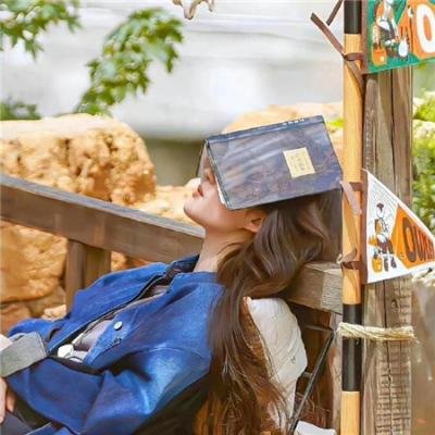 廉政行动2016粤语